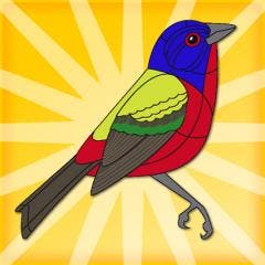 Identifying Birds Just Got Easier...And a Whole Lot More Fun!